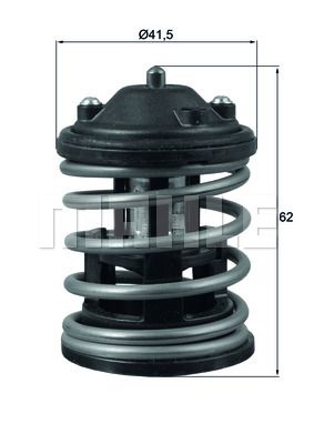 WILMINK GROUP termostatas, aušinimo skystis WG1426530